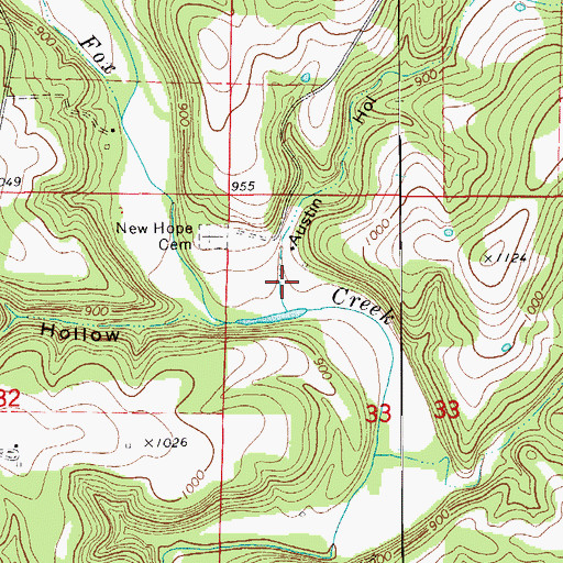 Topographic Map of Austin Hollow, MO