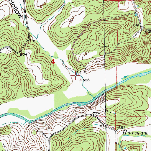 Topographic Map of Avery Hollow, MO
