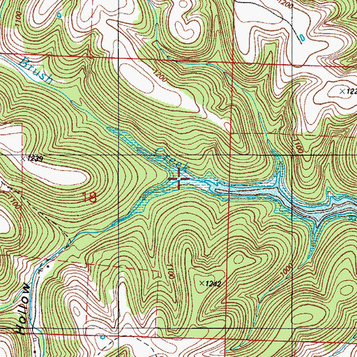 Topographic Map of Avery Hollow, MO