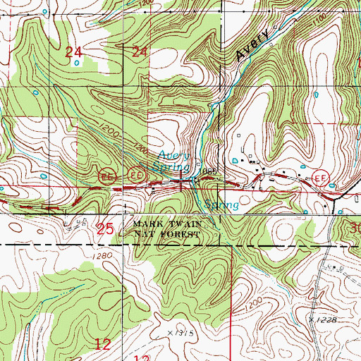 Topographic Map of Avery Spring, MO
