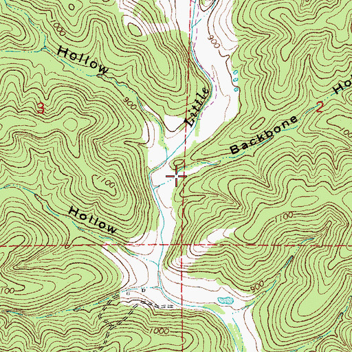 Topographic Map of Backbone Hollow, MO
