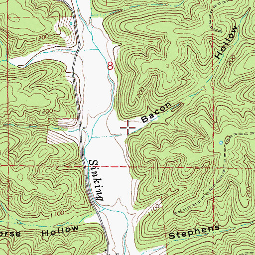 Topographic Map of Bacon Hollow, MO