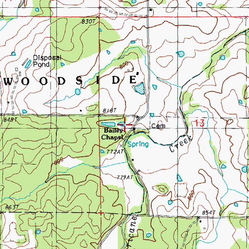 Topographic Map of Bailey Church, MO