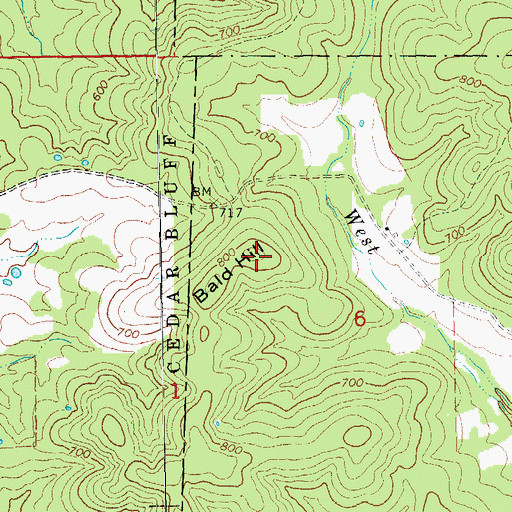 Topographic Map of Bald Hill, MO
