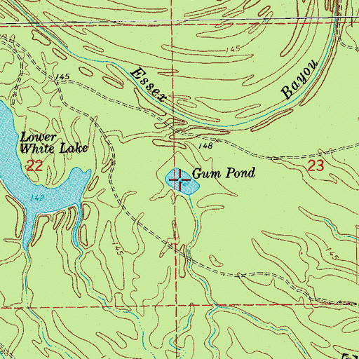 Topographic Map of Gum Pond, AR
