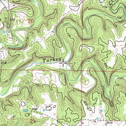 Topographic Map of Bass Creek, MO