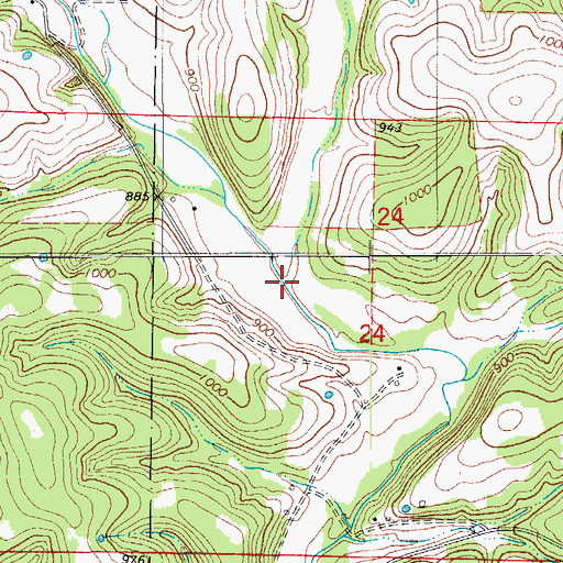 Topographic Map of Bear Branch, MO