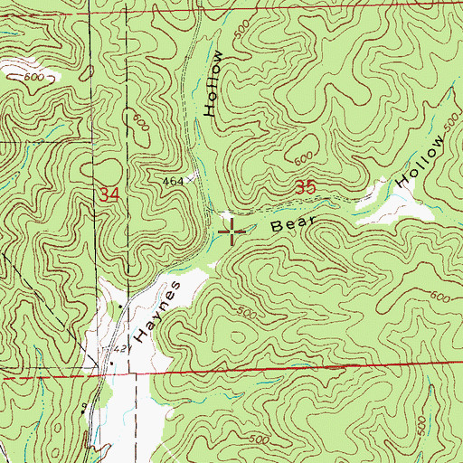 Topographic Map of Bear Hollow, MO