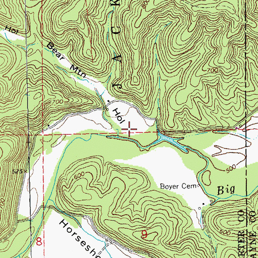 Topographic Map of Bear Mountain Hollow, MO