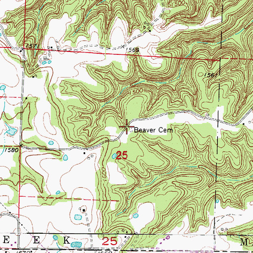 Topographic Map of Beaver Cemetery, MO