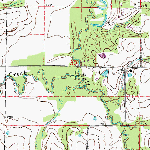 Topographic Map of Beaverdam Creek, MO