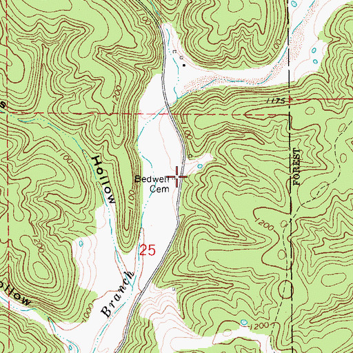 Topographic Map of Bedwell Cemetery, MO