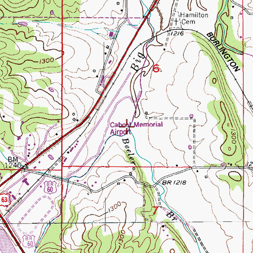 Topographic Map of Beeler Branch, MO