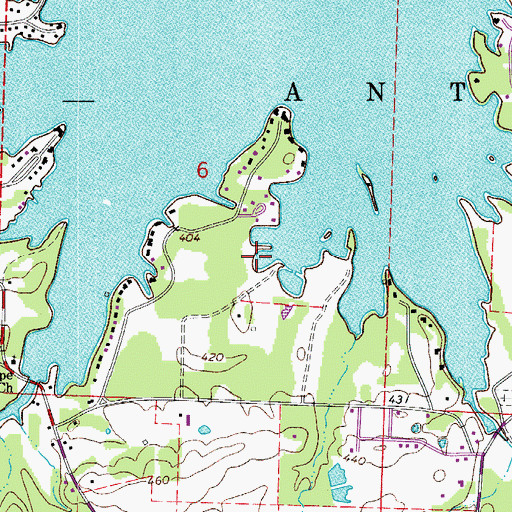 Topographic Map of Lake Hamilton, AR