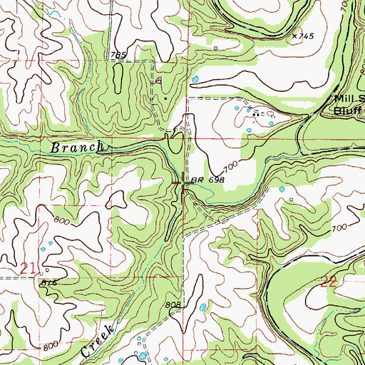 Topographic Map of Big Branch, MO