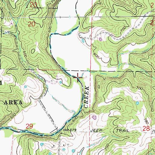 Topographic Map of Big Branch, MO