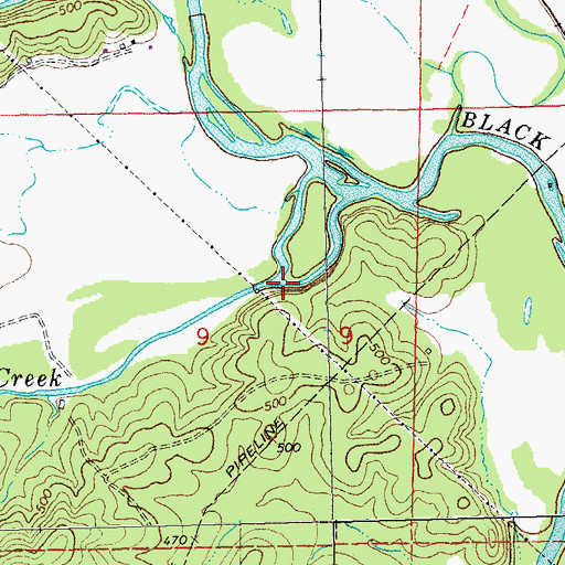 Topographic Map of Big Brushy Creek, MO