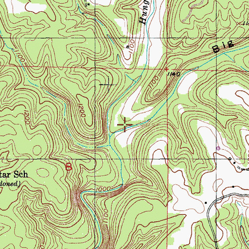 Topographic Map of Big Gulch, MO