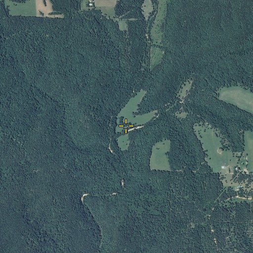 Aerial/Satellite Image of Big Gulch, MO