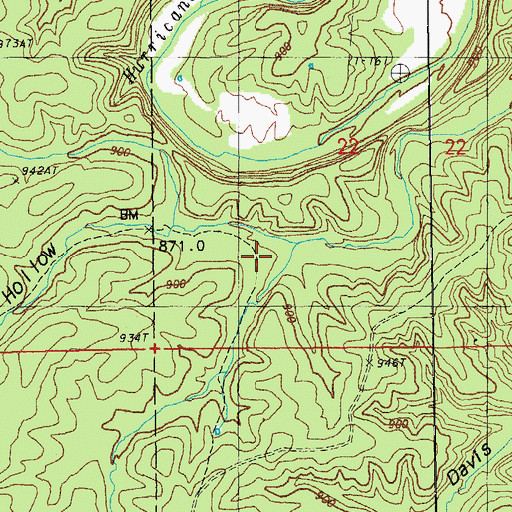 Topographic Map of Big Hollow, MO