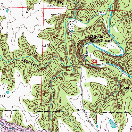 Topographic Map of Big Hollow, MO