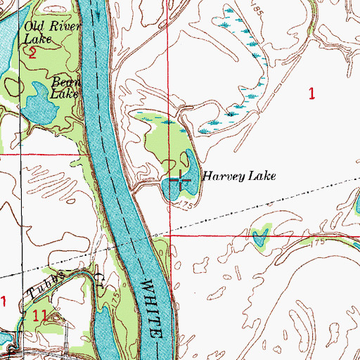 Topographic Map of Harvey Lake, AR