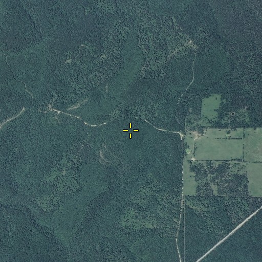 Aerial/Satellite Image of Big Yoeman, MO