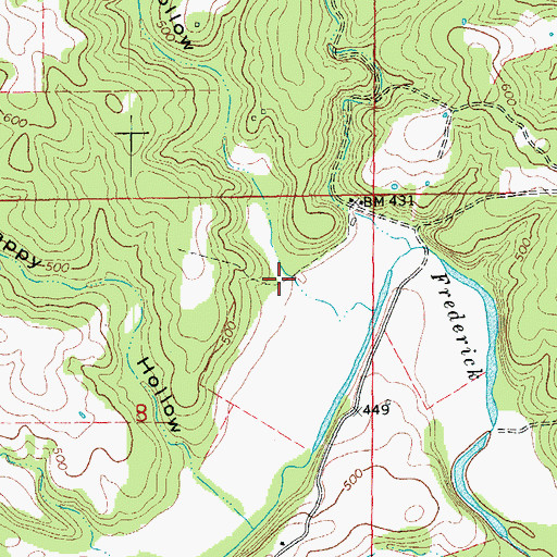 Topographic Map of Billmore Hollow, MO