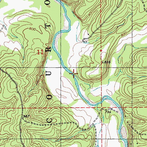 Topographic Map of Billys Branch, MO