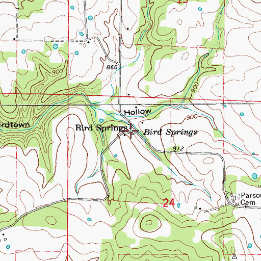 Topographic Map of Bird Springs, MO