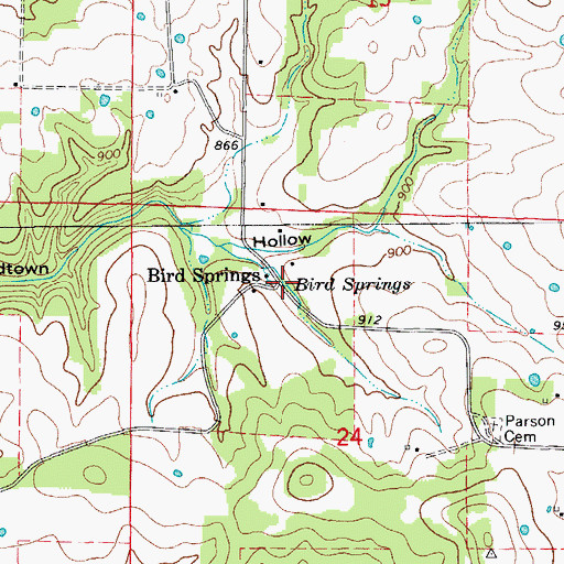 Topographic Map of Bird Springs, MO