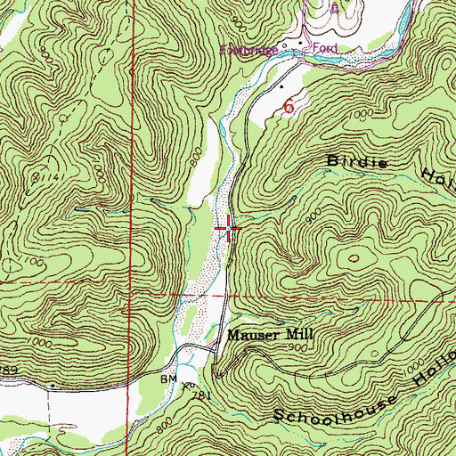 Topographic Map of Birdie Hollow, MO