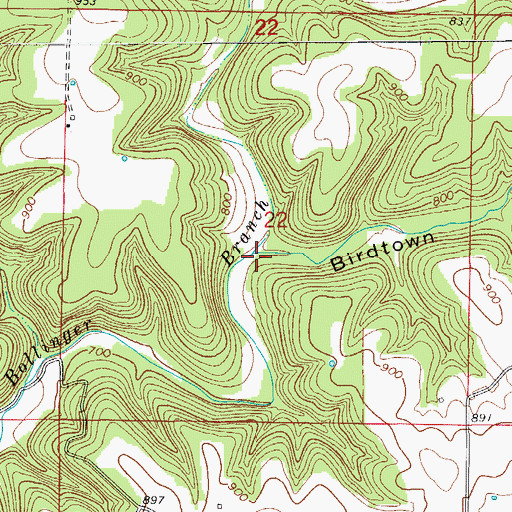 Topographic Map of Birdtown Hollow, MO