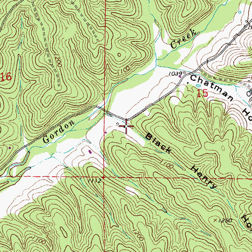 Topographic Map of Black Henry Hollow, MO