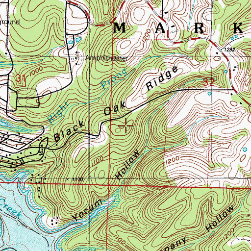 Topographic Map of Black Oak Ridge, MO