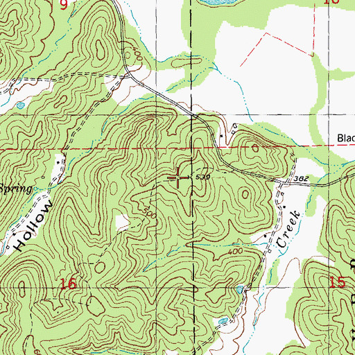 Topographic Map of Black River School (historical), MO