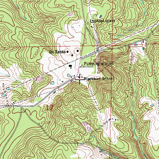 Topographic Map of Blackbird School, MO