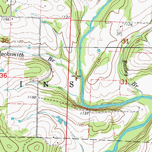 Topographic Map of Blacksmith Branch, MO