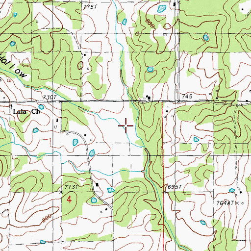 Topographic Map of Blankenship Hollow, MO