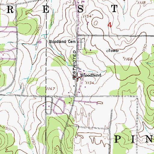 Topographic Map of Bloodland, MO