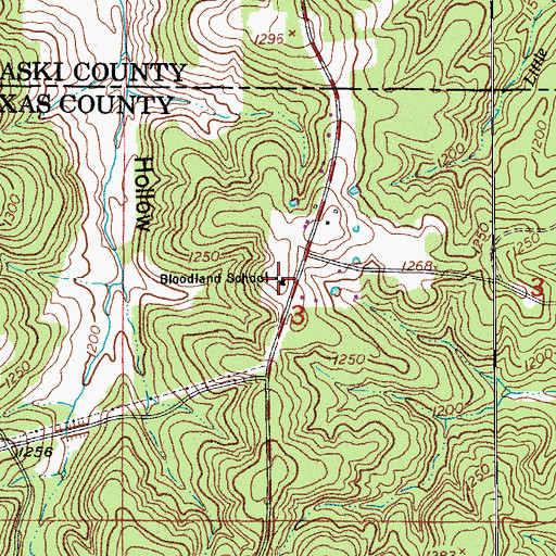 Topographic Map of Bloodland School, MO