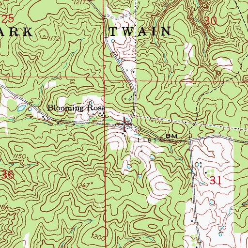 Topographic Map of Blooming Rose, MO