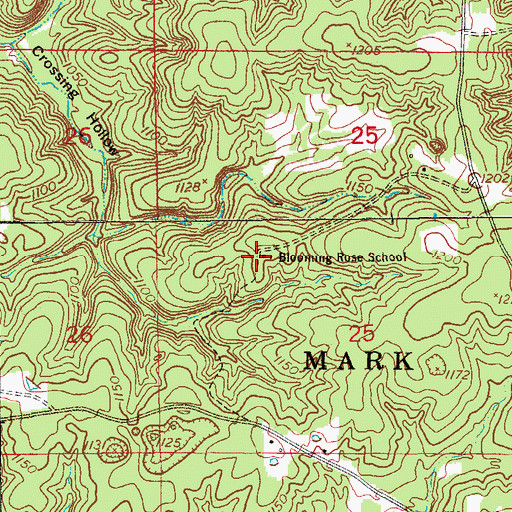Topographic Map of Blooming Rose School, MO