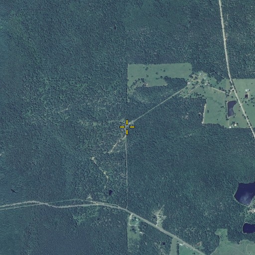 Aerial/Satellite Image of Blooming Rose School, MO