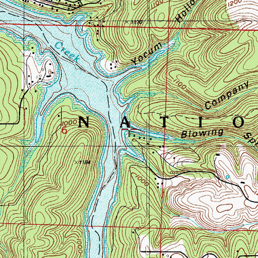 Topographic Map of Blowing Springs Hollow, MO
