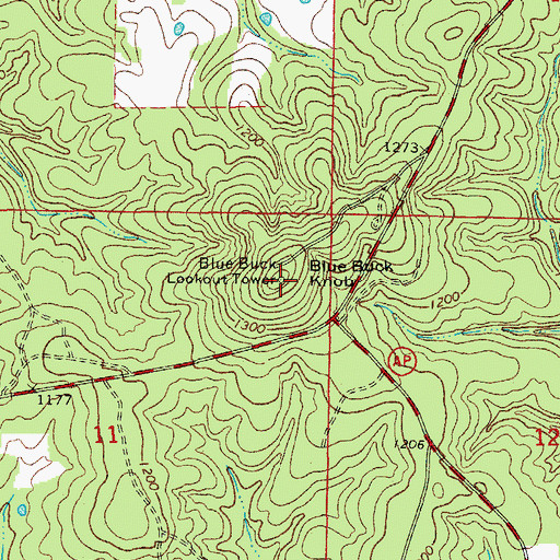 Topographic Map of Blue Buck Knob, MO