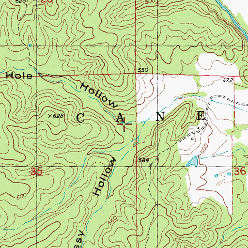 Topographic Map of Blue Hole Hollow, MO