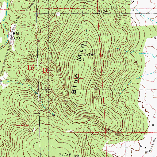 Topographic Map of Blue Mountain, MO
