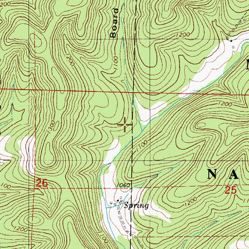 Topographic Map of Board Hollow, MO