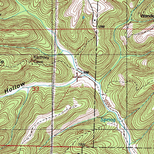 Topographic Map of Board Tree Hollow, MO
